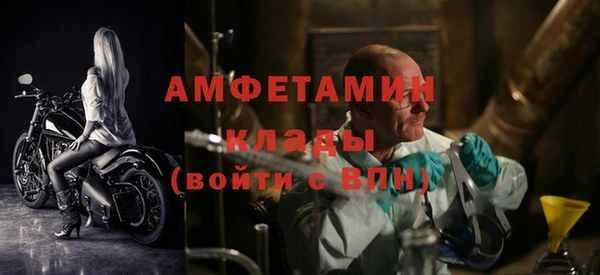 шишки Снежинск